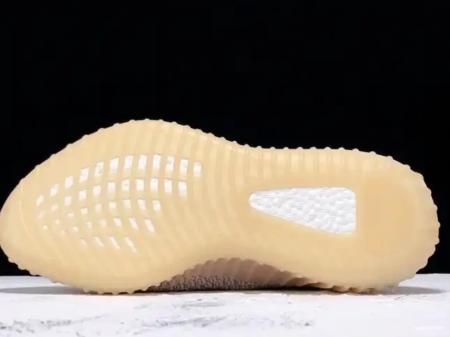 Adidas FV5666 350 Boost Yeezy V2 Synth Reflective 0508